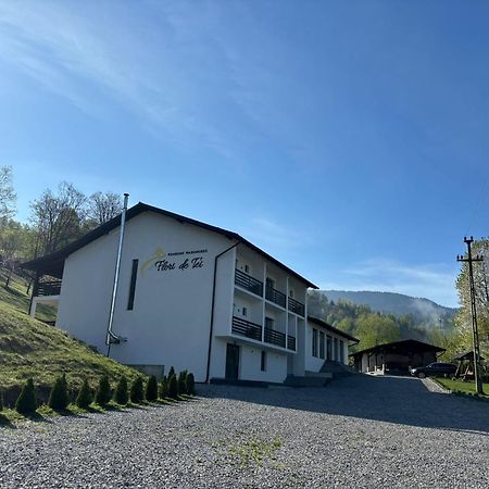 Flori De Tei Maramures Sacel  Exterior photo